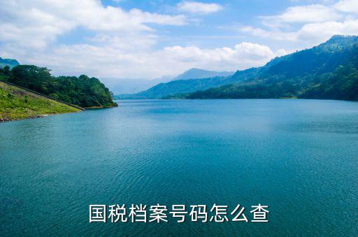 如何查地稅檔案，國稅檔案號碼怎么查