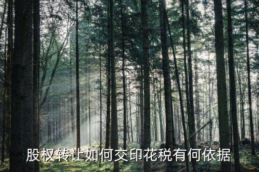 資產(chǎn)轉(zhuǎn)讓如何交印花稅，股權(quán)轉(zhuǎn)讓如何交印花稅有何依據(jù)