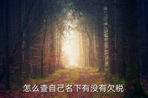 如何查欠稅記錄，怎么查個人有沒有欠稅