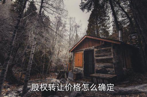 股權轉讓價格怎么確定
