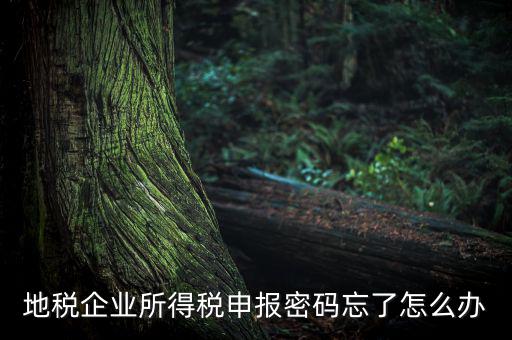 南京地稅密碼如何重置，個(gè)人所得稅忘記密碼之后如何進(jìn)行重置呢