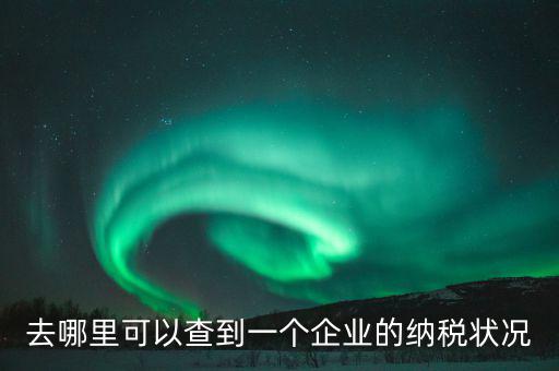 企業(yè)在哪納稅如何查，去哪里可以查到一個企業(yè)的納稅狀況