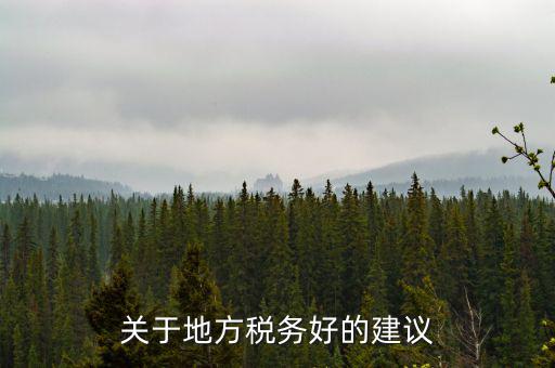關(guān)于地方稅務好的建議