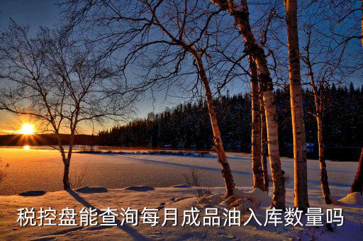 成品油明細(xì)如何導(dǎo)入金稅盤，稅控盤能查洵每月成品油入庫數(shù)量嗎