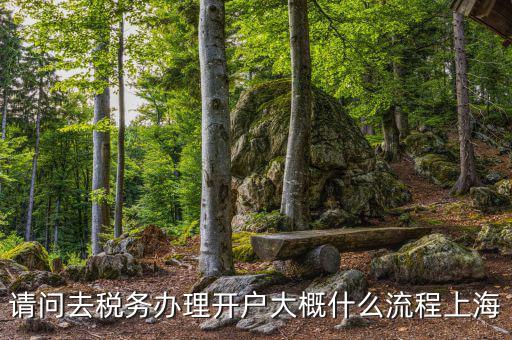 如何辦理稅務(wù)開戶，請(qǐng)問去稅務(wù)辦理開戶大概什么流程上海