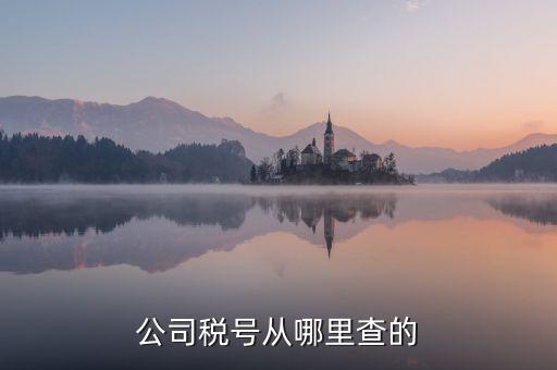 企業(yè)稅號如何查詢，公司稅號從哪里查的