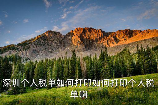 深圳網(wǎng)上如何打印稅單，怎樣在網(wǎng)上打印稅單我是深圳寶安區(qū)的