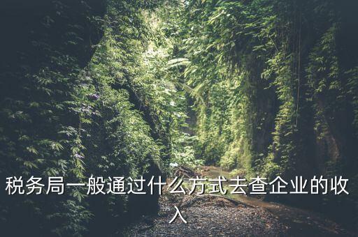 稅務(wù)如何統(tǒng)計收入，小規(guī)模增值稅季報在哪里統(tǒng)計收入