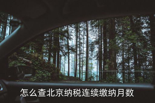 北京如何查到納稅記錄，怎么查詢納稅記錄
