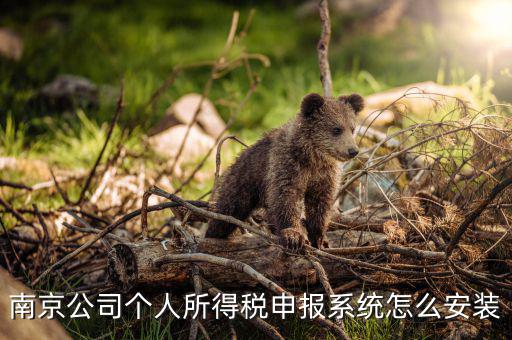 如何安裝金稅三期個稅安裝包，金稅三期在哪里下載