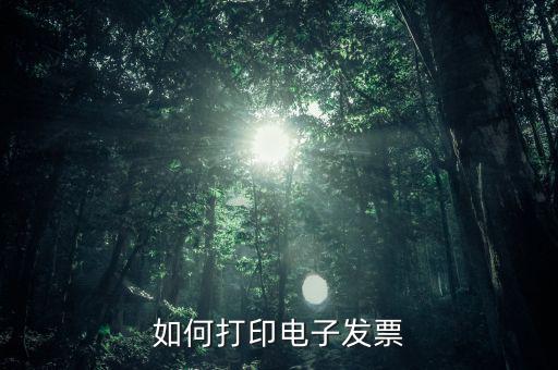 如何打印電子稅務(wù)局的電子發(fā)票，電子發(fā)票怎樣打印