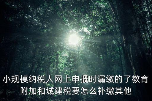 過了征期如何補交城建稅，請問城建稅忘記交怎么辦