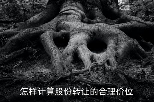 怎樣計算股份轉讓的合理價位