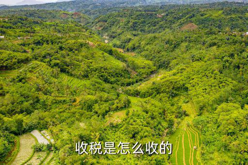 如何收稅務(wù)，收稅是怎么收的