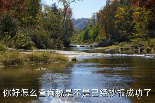 如何查看抄報(bào)成功，稅控發(fā)票開(kāi)票軟件怎么看網(wǎng)上抄報(bào)成功沒(méi)有