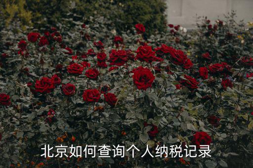 如何查詢北京國(guó)稅局納稅人狀態(tài)，如何進(jìn)行北京市A級(jí)納稅人信用查詢