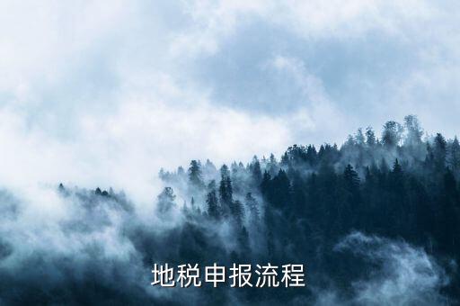 山西省地稅申報平臺如何申報，如何進(jìn)行地稅網(wǎng)上申報