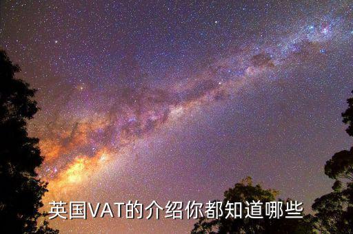 如何開展互聯(lián)網(wǎng) 稅務稽查，想知道關于網(wǎng)絡報稅方面的流程