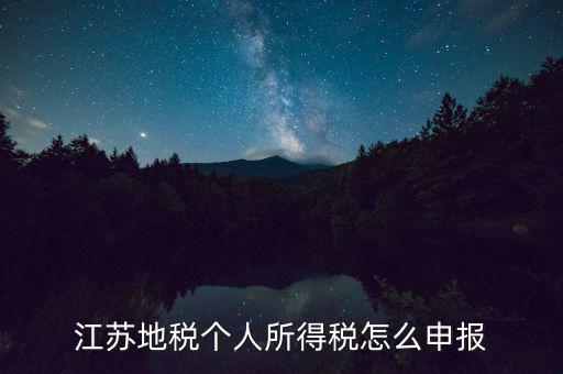 如何申報年稅江蘇，江蘇地稅個人所得稅怎么申報