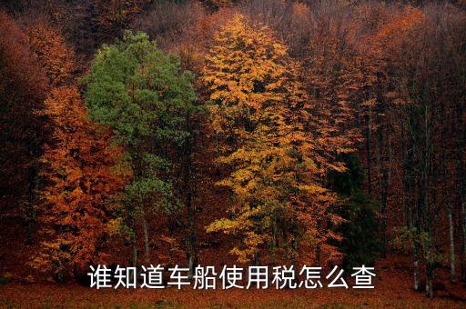 如何查詢(xún)自己交車(chē)船稅，車(chē)船稅交沒(méi)交能在網(wǎng)上查詢(xún)嗎