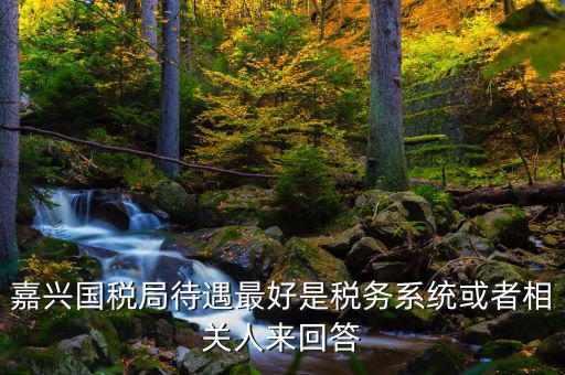 海寧國(guó)稅局待遇如何，嘉興經(jīng)開國(guó)稅在哪