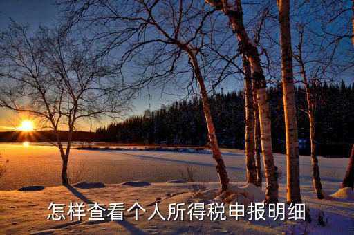 如何查詢個人所得稅明細申報，怎樣查看個人所得稅申報明細