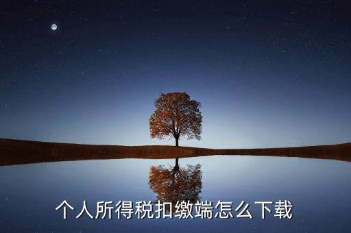 如何下載自然人扣繳客戶端，重慶市自然人電子稅務(wù)局扣繳端怎么下載