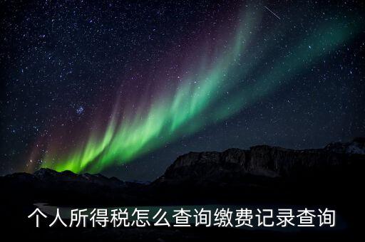 金稅三期個人所得稅如何查詢，個人所得稅怎么查詢繳費記錄查詢