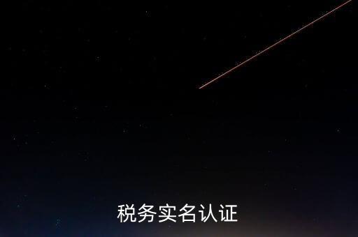 湖北省公司辦稅人員如何實名，稅務(wù)實名制信息采集