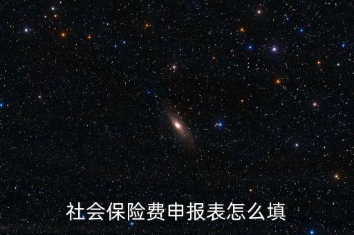 稅務(wù)系統(tǒng)社保費申報表如何填報，社會保險費申報表怎么填
