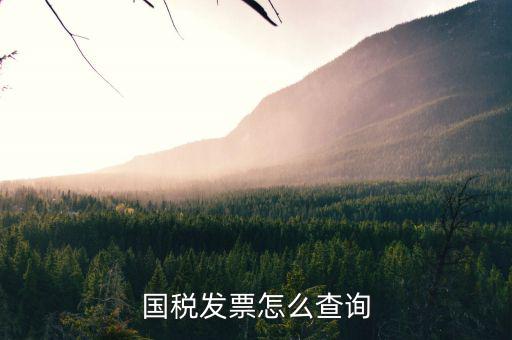 河北省的發(fā)票如何查詢，我的發(fā)票在河北地稅網(wǎng)上可以查到信息都沒有問題但是河北地稅