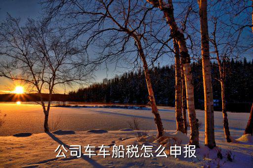 單位汽車的車船稅如何申報，公司車車船稅怎么申報