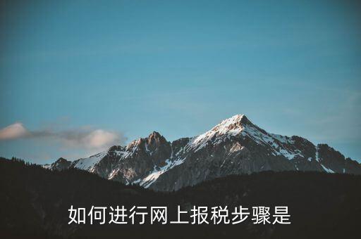 如何推行網(wǎng)上辦稅，如何辦理網(wǎng)上納稅