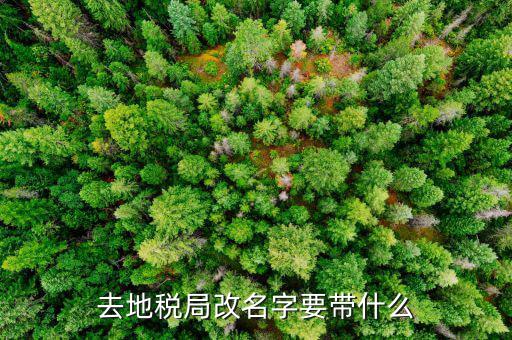 地稅自然人辦如何更改名字，地稅網(wǎng)上開票人的名字怎樣改