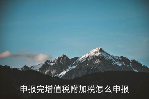 附加稅在國(guó)家稅務(wù)局網(wǎng)如何申報(bào)表，網(wǎng)上申報(bào)城建稅教育附加稅怎么填