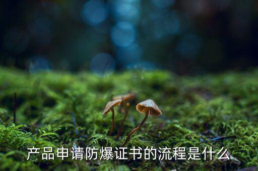 如何辦理防爆用地，產(chǎn)品辦理防爆認(rèn)證流程有哪些