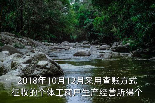 2018年10月12月采用查賬方式征收的個體工商戶生產經(jīng)營所得個