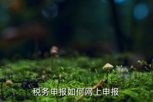如何網(wǎng)上電子稅務申報系統(tǒng)，稅務申報如何網(wǎng)上申報