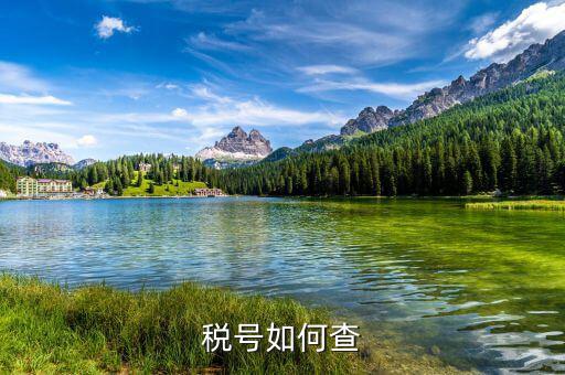 國際企業(yè)稅號如何查詢，老外要公司稅號他怎么查呢