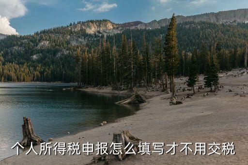 福建自然人個(gè)稅如何申報(bào)才不用繳稅，個(gè)稅專項(xiàng)附加扣除怎樣填寫才不繳稅
