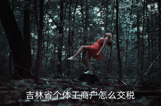 吉林個人所得稅如何申報，個人所得稅申報問題吉林省