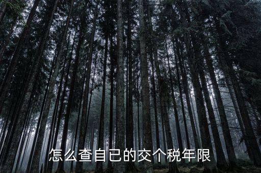 如何查詢納稅期限，怎么查自已的交個(gè)稅年限