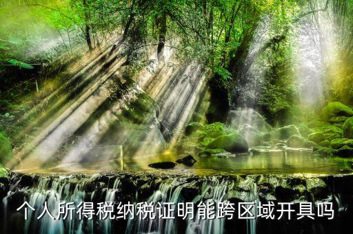 個(gè)人所得稅納稅證明能跨區(qū)域開(kāi)具嗎