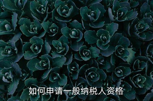 一般納稅人如何申請B級，一般納稅人B類企業(yè)如何申報企業(yè)所得稅