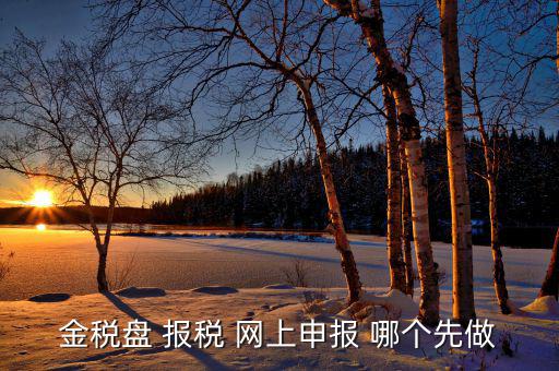 金稅盤如何網(wǎng)上申報(bào)，求金稅盤如何在電腦上報(bào)稅操作流程