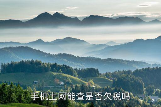 如何網(wǎng)上查是否有欠稅，稅務(wù)欠稅信息如何查詢