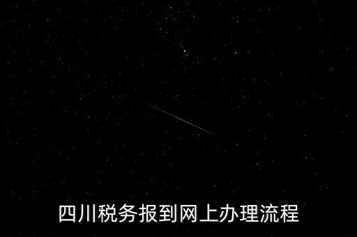 四川企業(yè)地稅如何網(wǎng)上申報系統(tǒng)，稅務(wù)申報如何網(wǎng)上申報