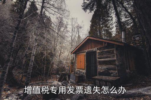 丟失專用發(fā)票如何，丟失空白增值稅專用發(fā)票如何處理