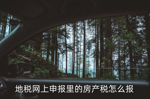 地稅網(wǎng)上申報里的房產稅怎么報