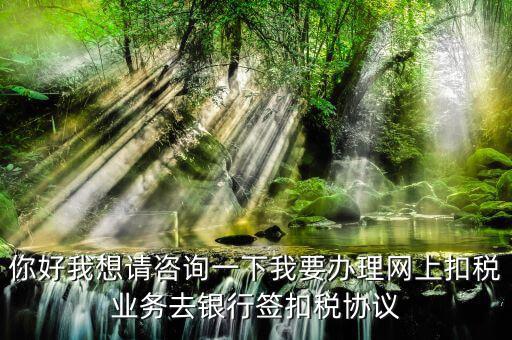 如何辦理稅庫銀，去稅務(wù)局辦理稅控盤需要什么資料流程怎么走呢
